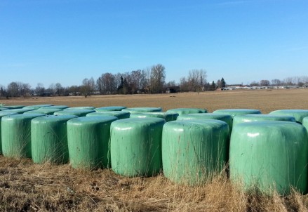 Akcija lauksaimniekiem “Tīra sēta – laba sēta” 