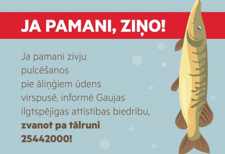 Ūdenstilpēs iespējama zivju slāpšana