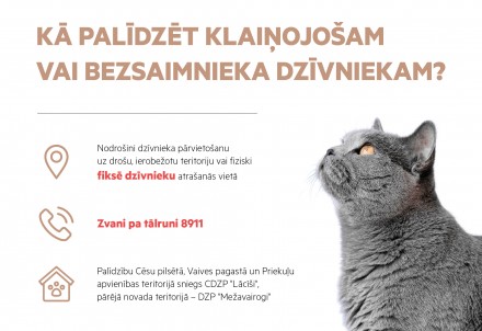 Kā palīdzēt klaiņojošam vai bezsaimnieka dzīvniekam?